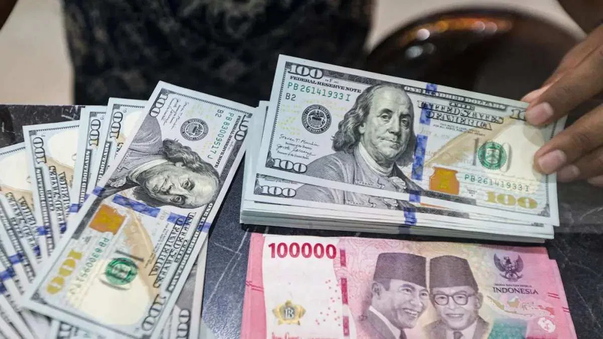 Minat Produk USD Meningkat, Proteksi di Era Global Makin Dibutuhkan Minat Produk USD Meningkat, Proteksi di Era Global Makin Dibutuhkan