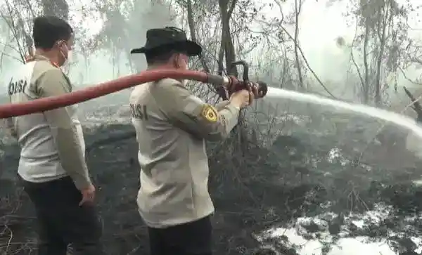 Dua Perusahaan dan Direkturnya Terseret Kasus Karhutla di Kalimantan Tengah