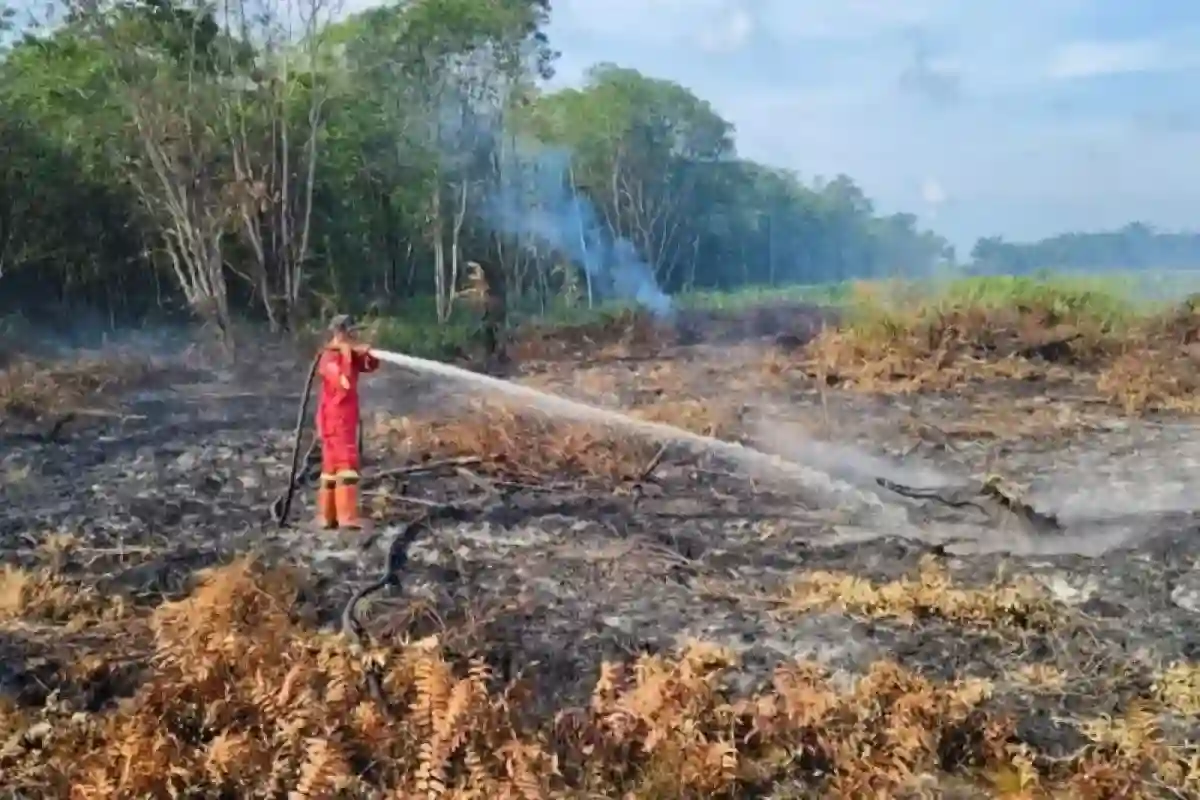 Survei Kadin Ungkap Dampak Bencana pada Usaha, Peringatan Dini Jadi Prioritas