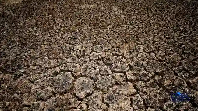 Samudra Pasifik Membiru saat El Niño Menguat, Data Satelit NASA Ungkap Perubahannya