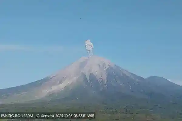 Erupsi Semeru Pagi Hari: Kolom Abu 1,2 Kilometer dan Peringatan Keselamatan