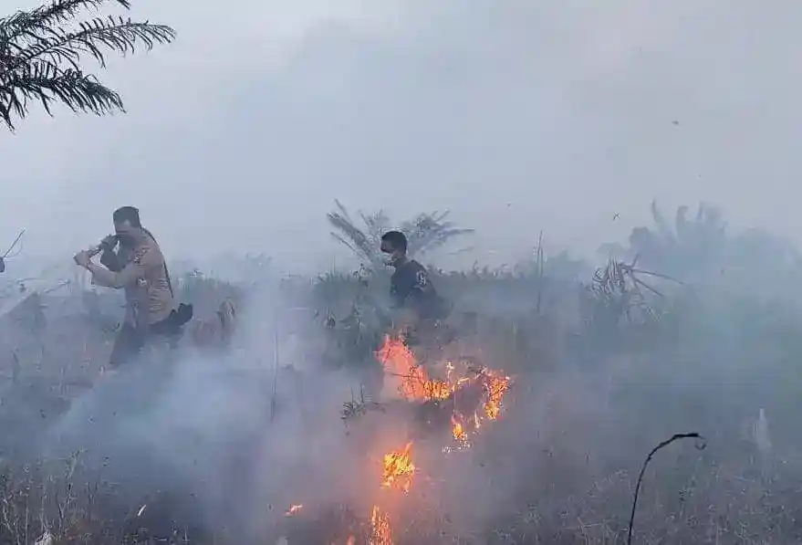 Ribuan Layanan Kesehatan Disiagakan saat Kasus ISPA Terkait Karhutla Tembus 333.470
