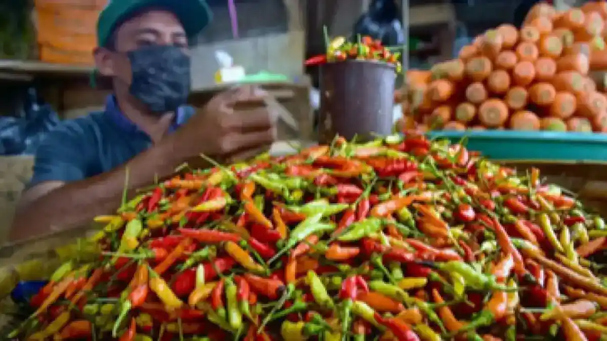 Harga Pangan Nasional: Cabai Rawit Merah Rp105.750 per Kilogram
