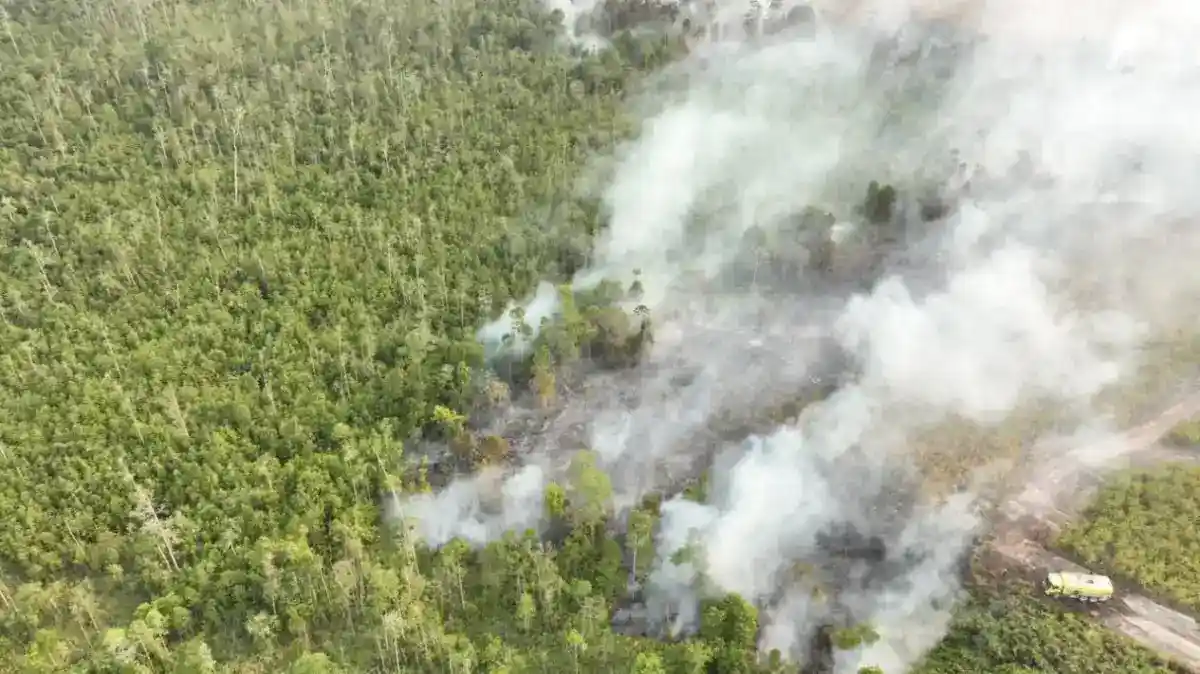 Korban Jiwa Kebakaran Bromo Bertambah, Suraji Meninggal Setelah Dirawat Intensif