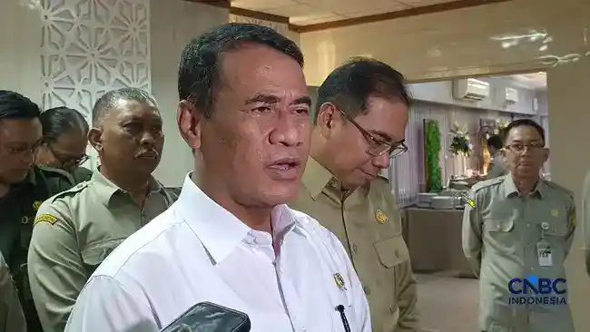 Produksi Telur Melimpah, Harga Peternak Turun dan Konsumen Membayar di Atas HET