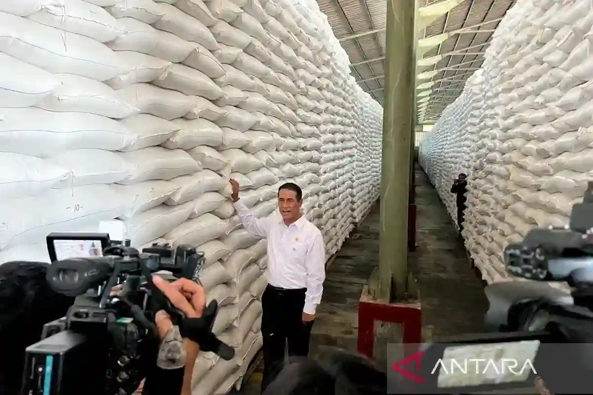 Produksi dan Cadangan Pangan Menguat, Ketahanan Nasional Jadi Sorotan