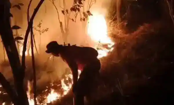 Karhutla Ciremai Terkendali, Dedi Mulyadi Tawarkan Imbalan untuk Informasi Pelaku