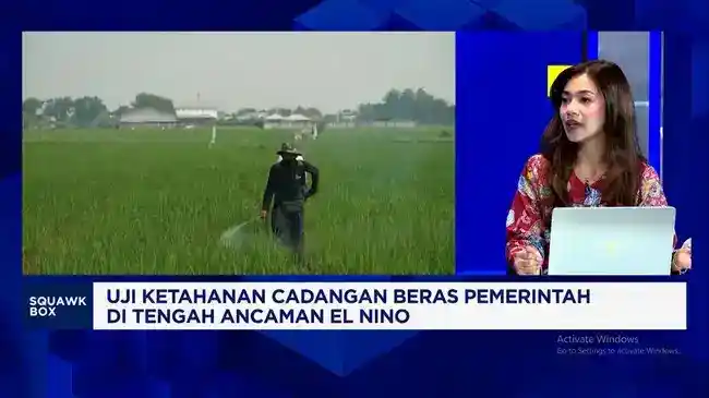 Cadangan Beras Pemerintah Menguat, Dampaknya bagi Petani Jadi Sorotan