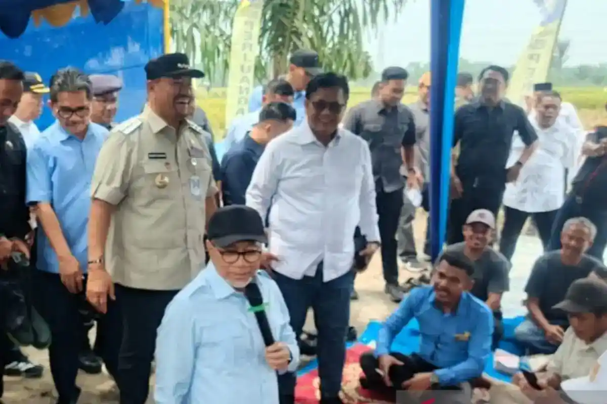 Panen Raya di Batu Bara Jadi Momentum Penguatan Ketahanan Pangan