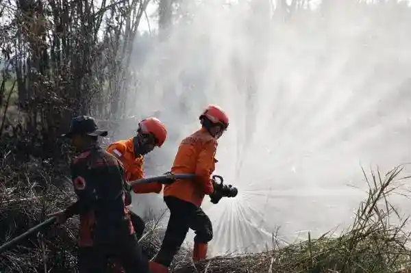 Usulan DPR Menggolongkan Pembakaran Hutan sebagai Terorisme Lingkungan