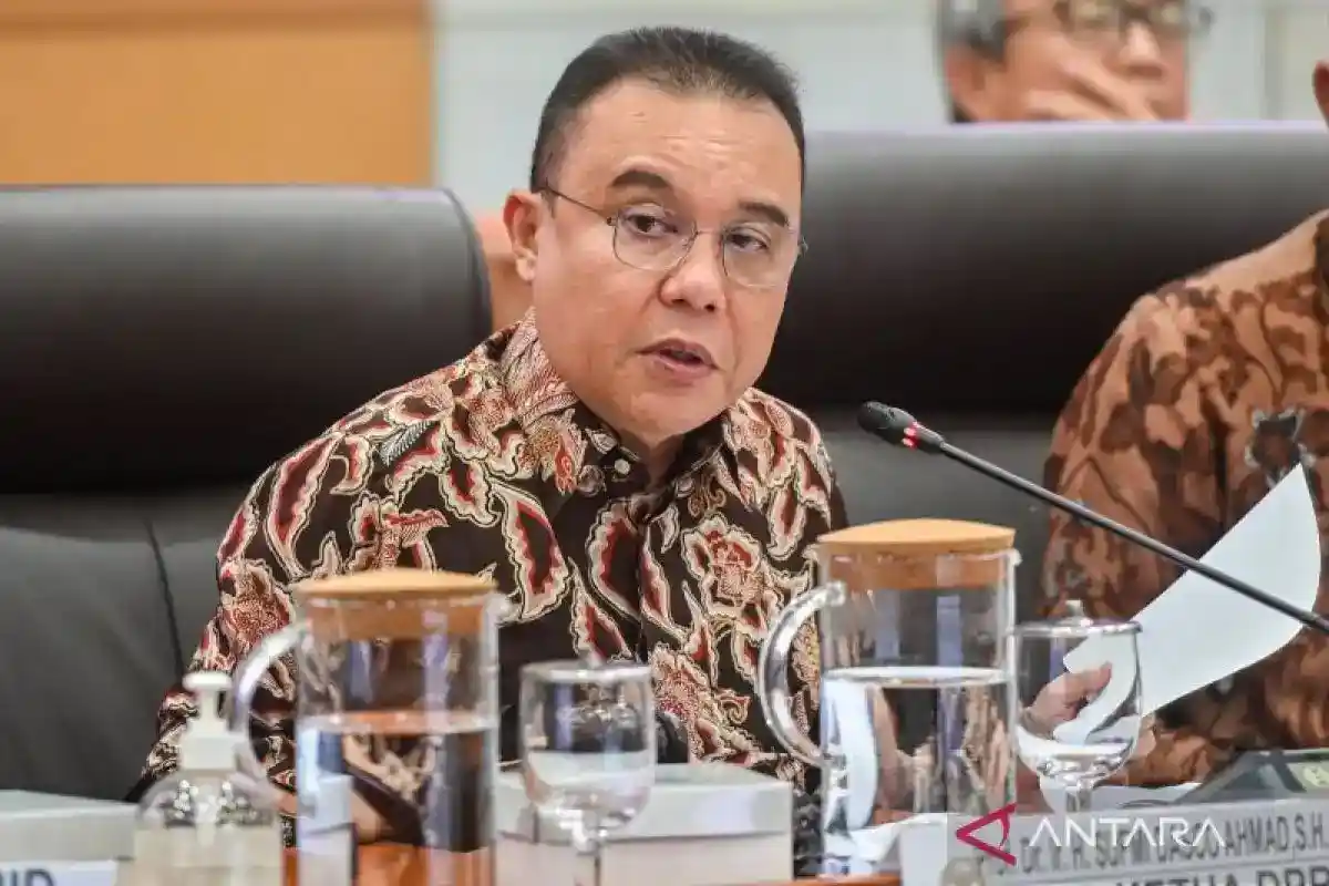 Penggagalan Penyelundupan Ketamin 1,16 Ton Tuai Apresiasi Dasco