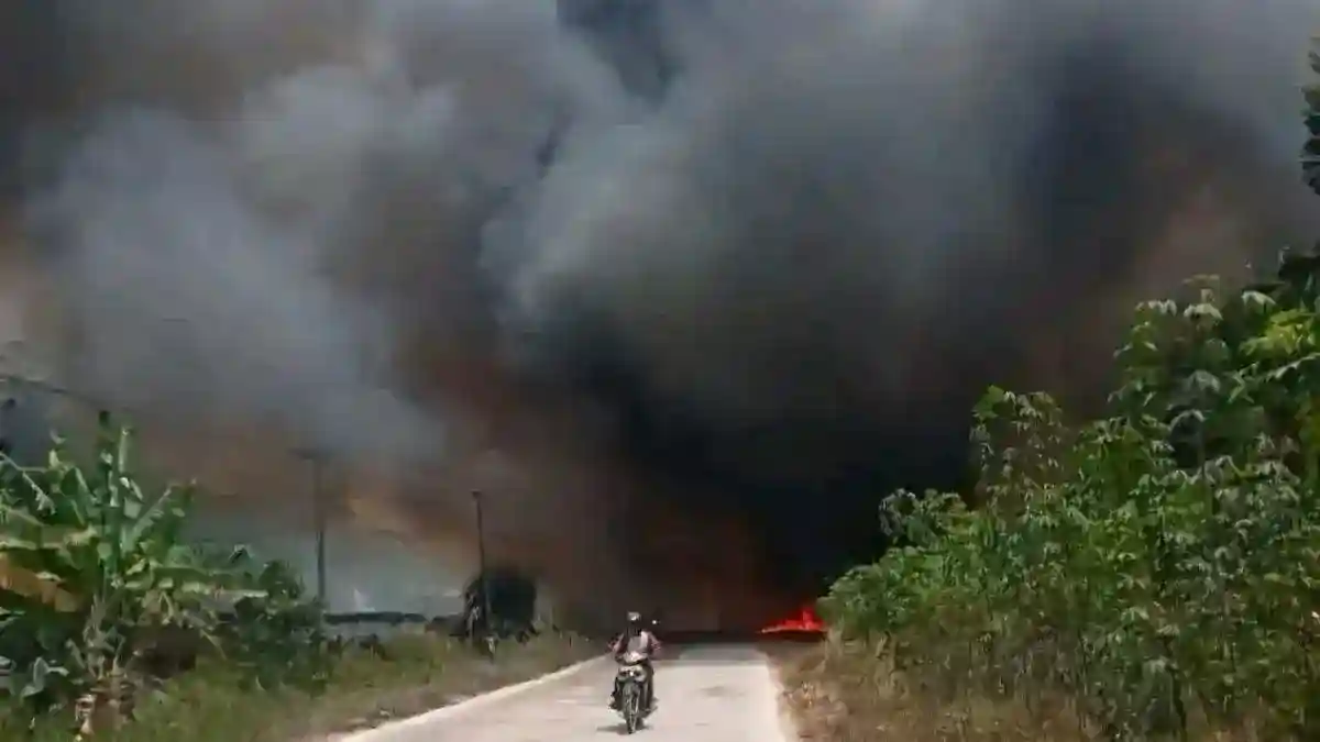 Api Lapak Kayu Gelam di Mesuji Membakar Sekitar Satu Hektare Lahan