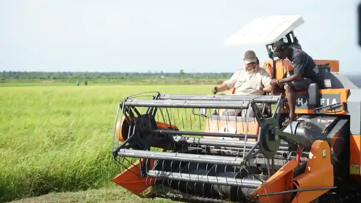 Percepatan Cetak Sawah di Merauke: Infrastruktur dan Kebutuhan Petani Jadi Sorotan