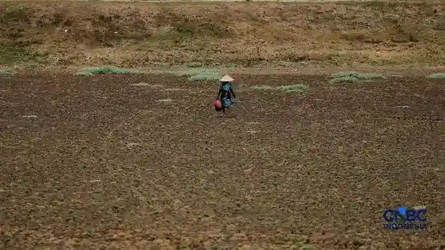 Dampak Panas El Niño: Indonesia Diproyeksikan Mengalami 19.251 Kematian Tambahan