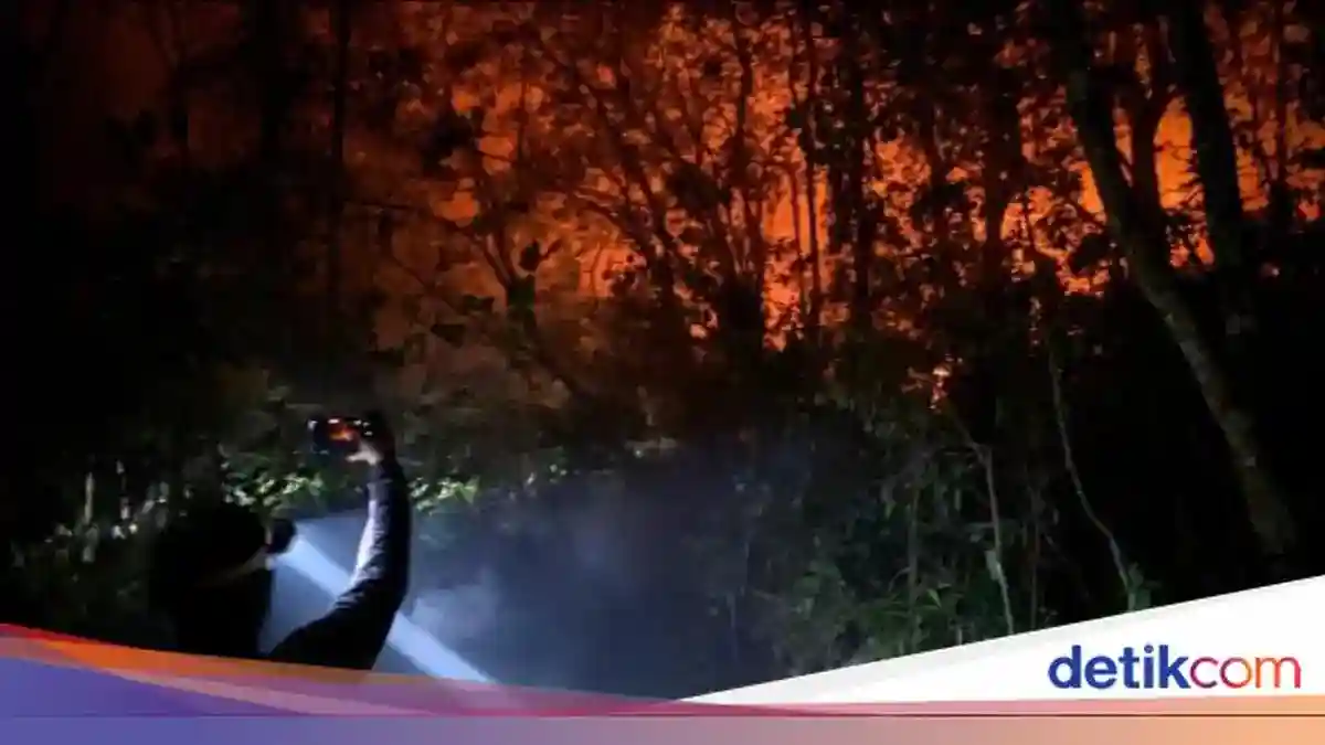 Kebakaran di Taman Nasional Tanjung Puting Mengancam Camp Tanjung Harapan
