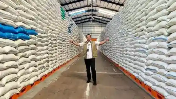 Cadangan Beras Indonesia Tembus 4,5 Juta Ton, Jauh di Atas Stok Malaysia dan Filipina