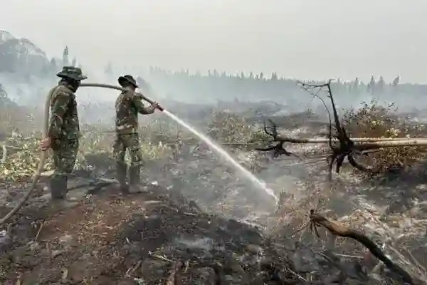 BNPB Catat Karhutla 1.566 Hektare di Kalimantan, Sumatera Selatan 23 Hektare
