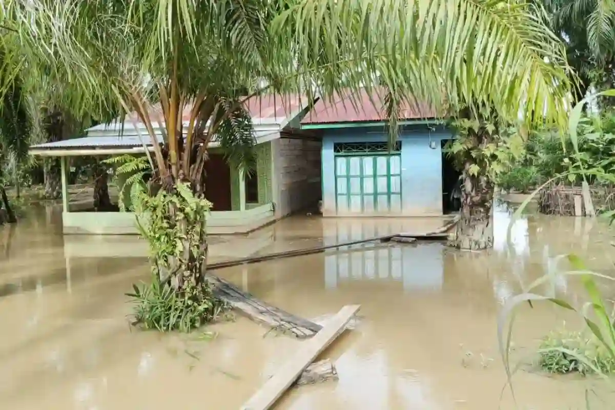 Banjir Subulussalam Berdampak pada 1.985 Keluarga, Ribuan Rumah Terendam