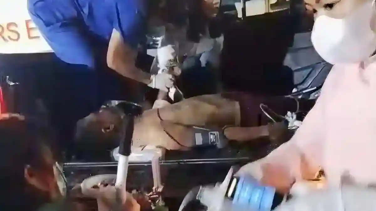 Petugas Kehutanan Tewas Tertimpa Pohon saat Padamkan Karhutla di Toraja Utara