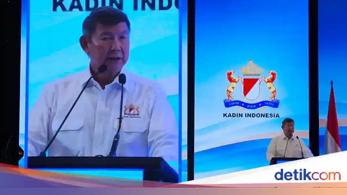 Hashim Peringatkan Risiko Tekanan Rupiah Jika Status Pasar Modal Turun
