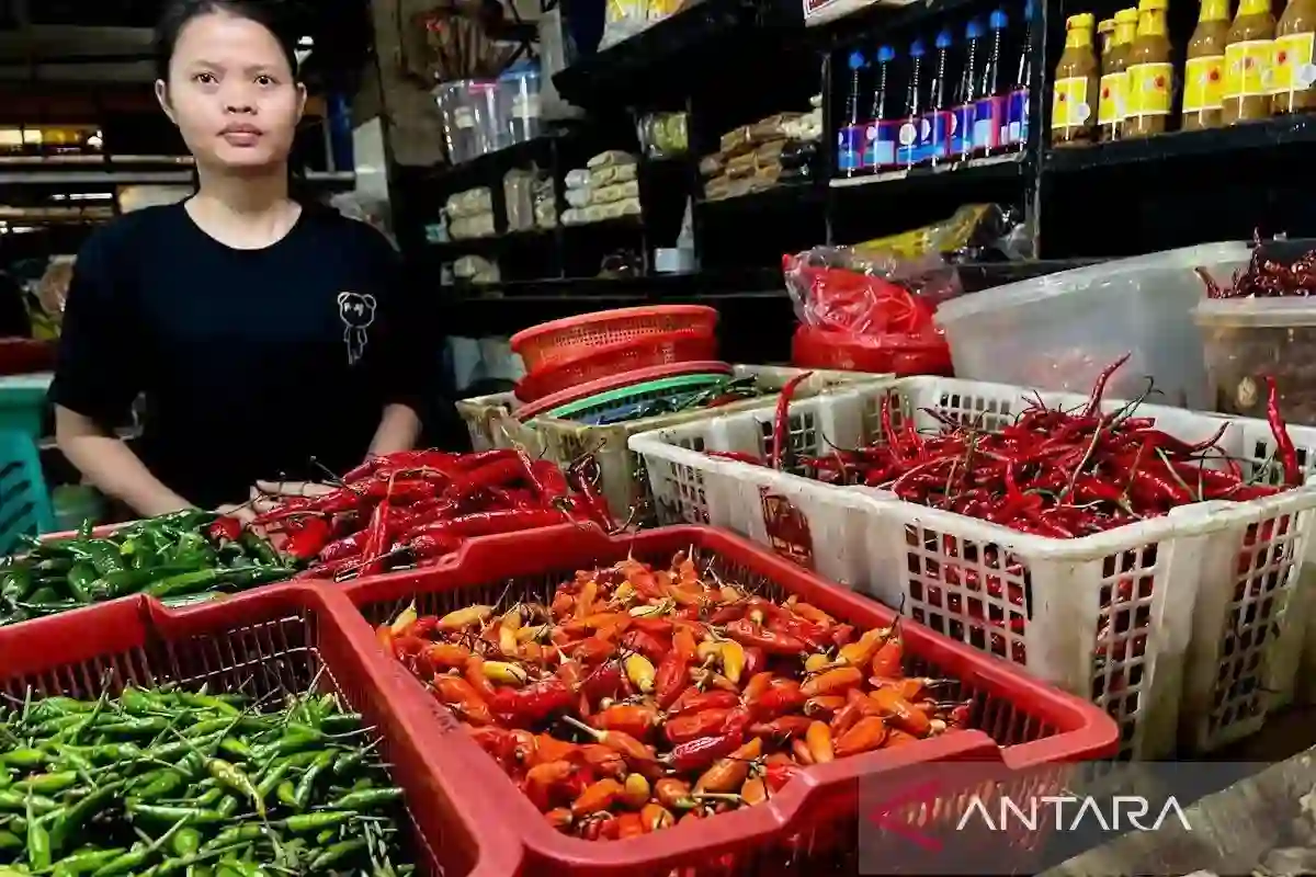 Potret Harga Pangan Eceran Nasional: Cabai Rawit Rp130.000 per Kilogram