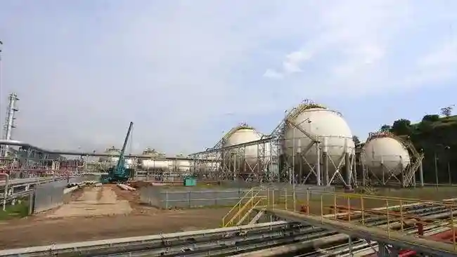 Laba Barito Pacific Turun Tajam meski Pendapatan Naik hingga September 2026
