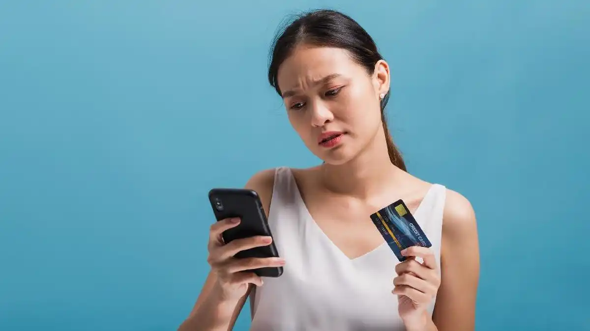 Panduan Memeriksa NIK yang Diduga Terkait Judi Online dan Pinjaman Online