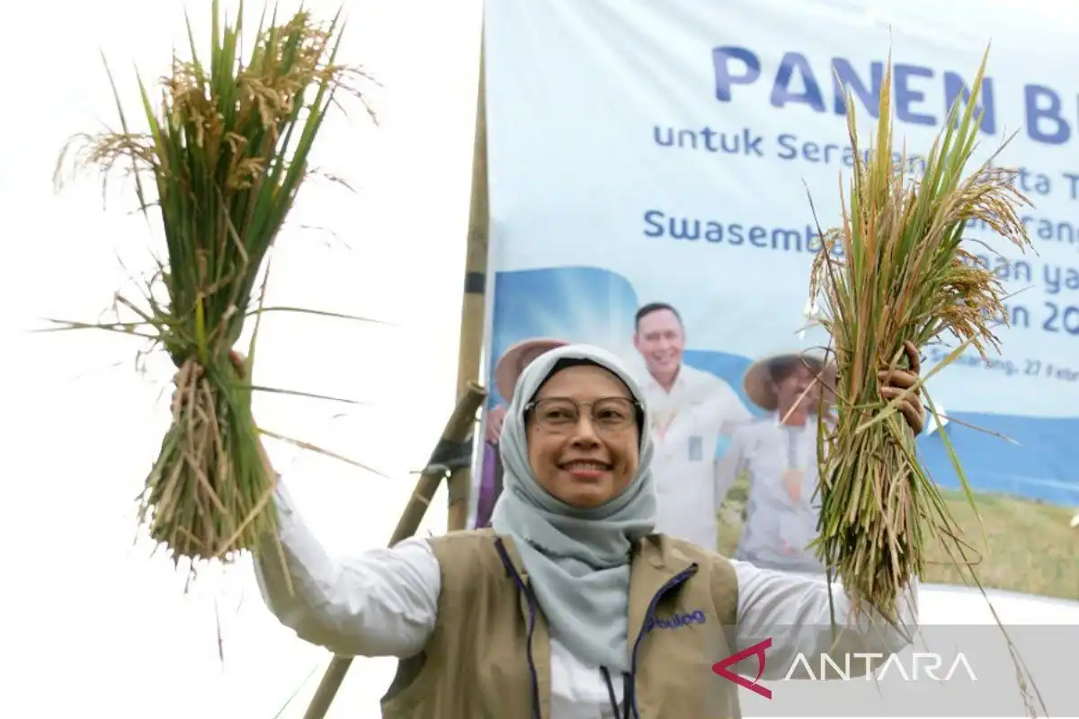 Serapan Gabah Bulog Jawa Tengah Lampaui Target hingga Oktober 2026