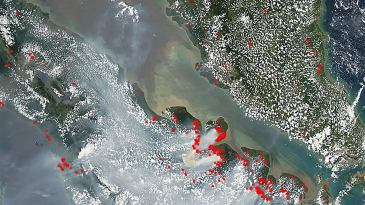 El Nino Menguat, Rekor Suhu Laut dan Ancaman Cuaca Ekstrem Dunia El Nino Menguat, Rekor Suhu Laut dan Ancaman Cuaca Ekstrem Dunia