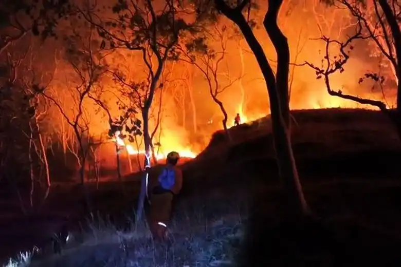 Karhutla Ponorogo Meluas, Luas Area Terbakar Capai 341,85 Hektare