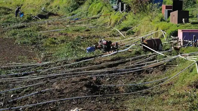 Kemarau Panjang Menyusutkan Telaga Merdada, Petani Berebut Sisa Air
