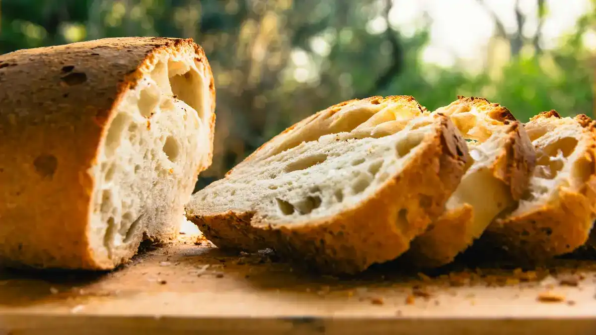 Menilai Klaim Kesehatan Sourdough di Tengah Perbandingan dengan Roti Biasa