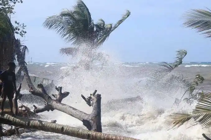 Cuaca Cerah Dukung Libur Akhir Pekan di Jatim, Waspadai Gelombang Laut Selatan 4 Meter