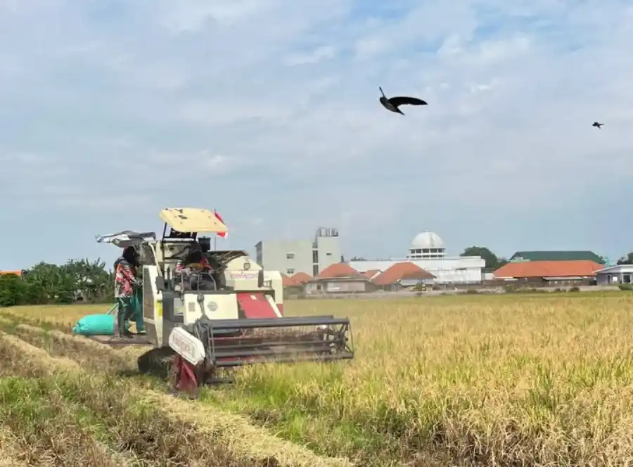 Bulog Kediri Lampaui Target Serapan Gabah Petani hingga 107,87 Persen pada Oktober 2026