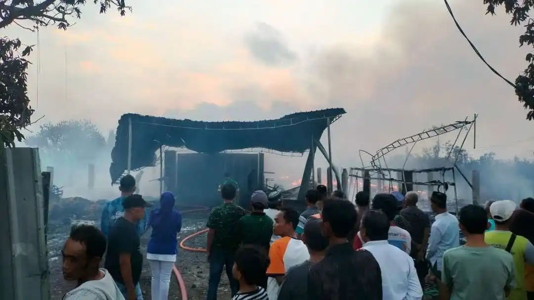 Kebakaran Melanda Peternakan di Banyuwangi, 28 Ribu Ayam Mati dan Kerugian Capai Rp2,5 Miliar