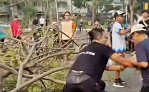 Dua Orang Dikabarkan Tertimpa Pohon Tumbang di Summarecon Bekasi