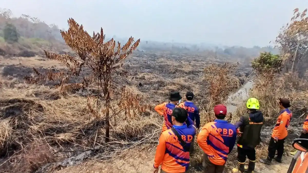 Kebakaran Lahan di Balangan Meluas hingga 325 Hektare, Akses Petugas Terkendala