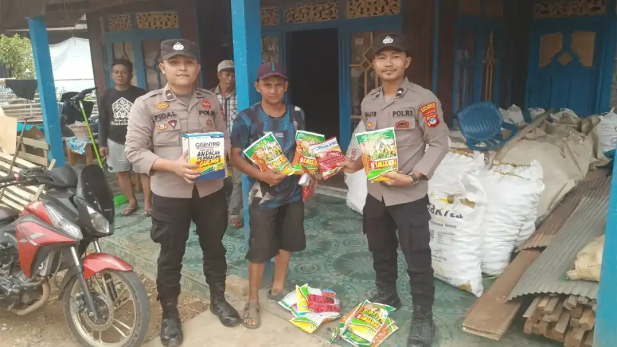 Petani Jagung Balangan Terima Bantuan Benih Setelah Gagal Panen akibat Karhutla