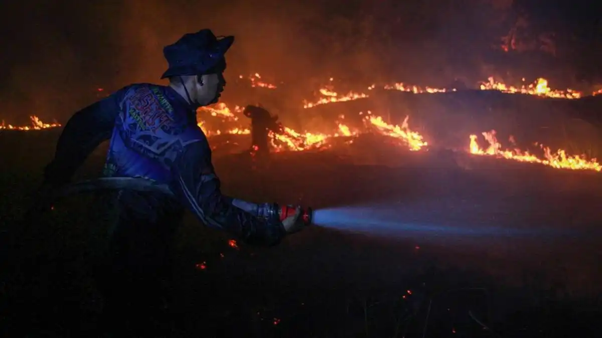 Sebaran Titik Api Karhutla Meningkat, Kalimantan Tengah Jadi Wilayah Paling Terdampak