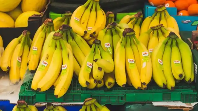 Ancaman Jamur TR4 terhadap Masa Depan Pisang Dunia Berawal dari Indonesia