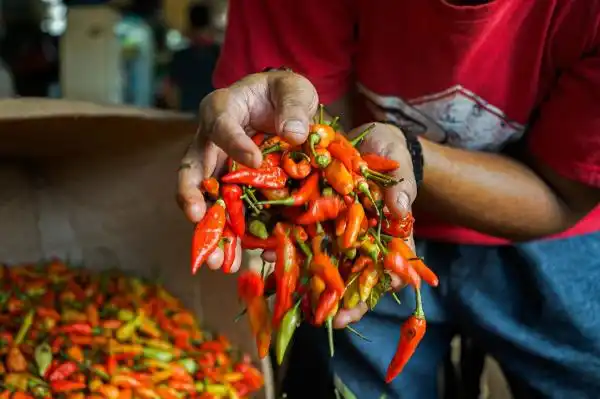 Harga Pangan Awal Pekan Bergerak Naik, Cabai Rawit Hijau Catat Lonjakan Tertinggi