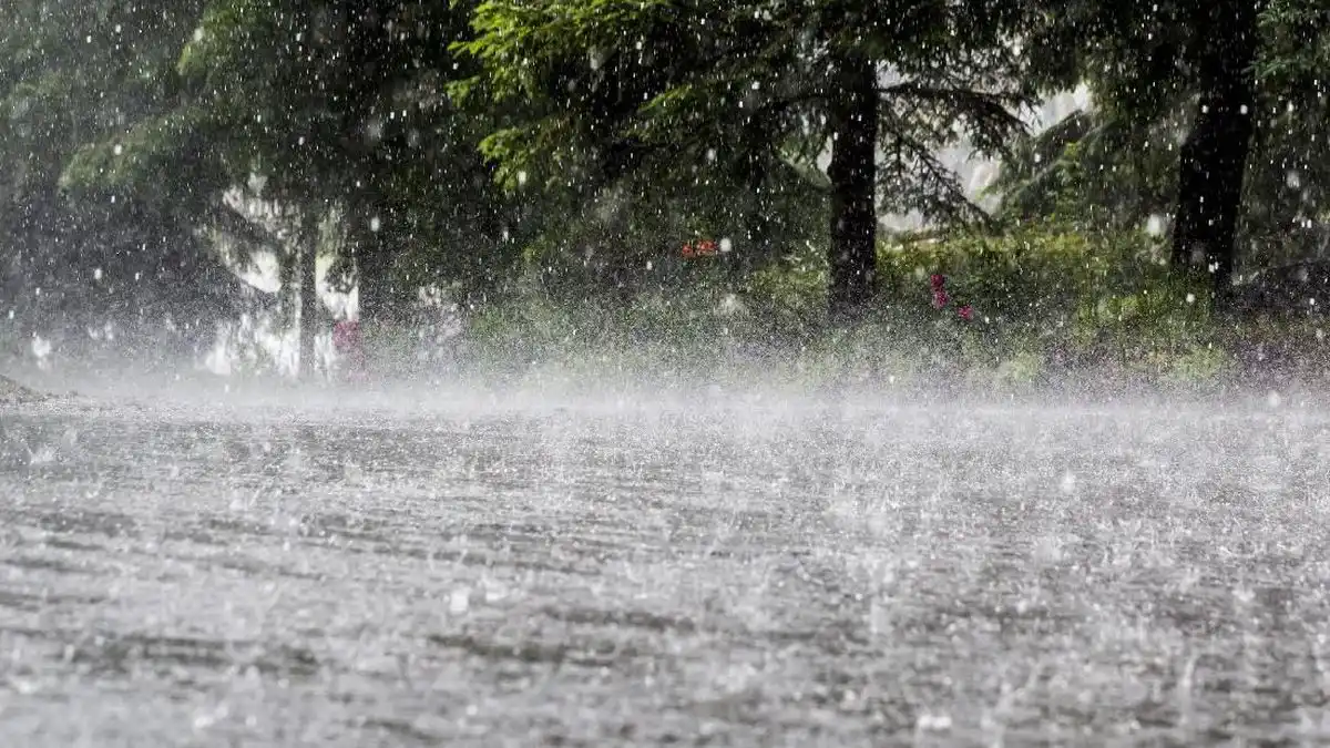 Banjir Melanda Langkat dan Binjai Setelah Hujan Lebat Disertai Angin Kencang