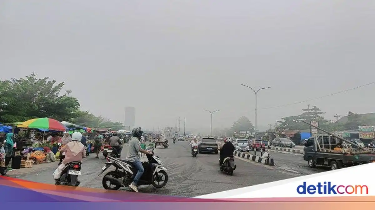 Lonjakan Titik Panas di Sumatera, Asap Riau Ganggu Kesehatan dan Penerbangan