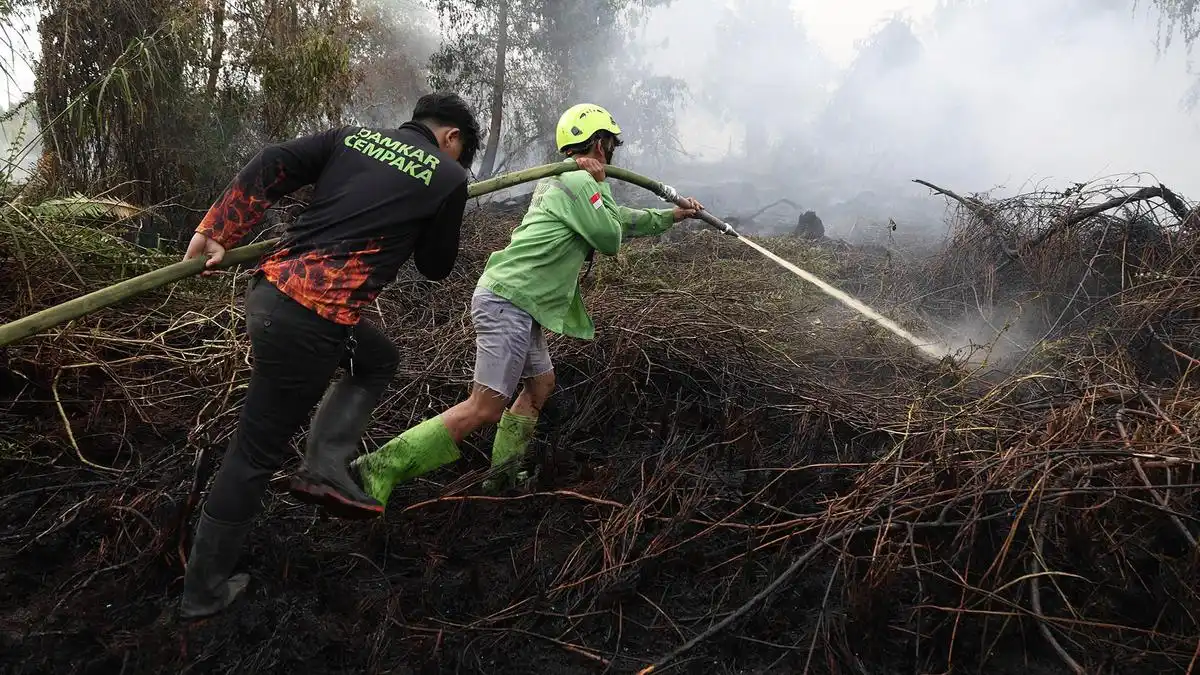 Penanganan Karhutla Berlanjut, 639,23 Hektare Lahan Masih Terbakar di Enam Provinsi