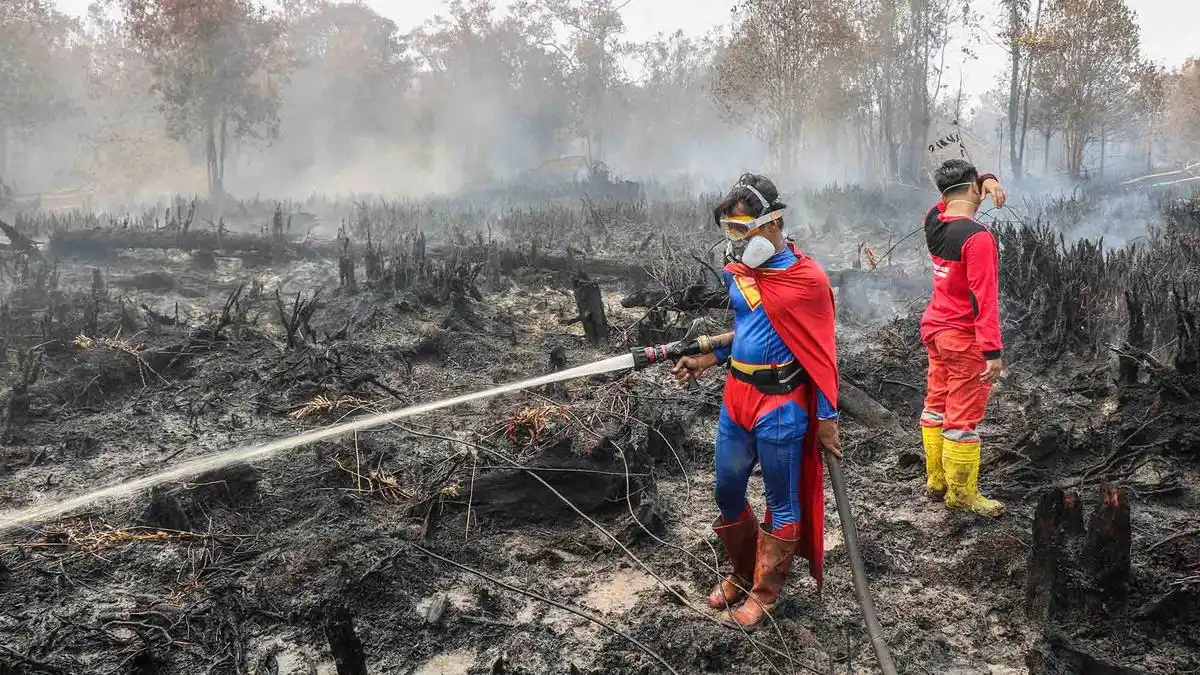 Pemerintah Kerahkan Unsur Gabungan dan Tindak Dugaan Pembakaran dalam Penanganan Karhutla