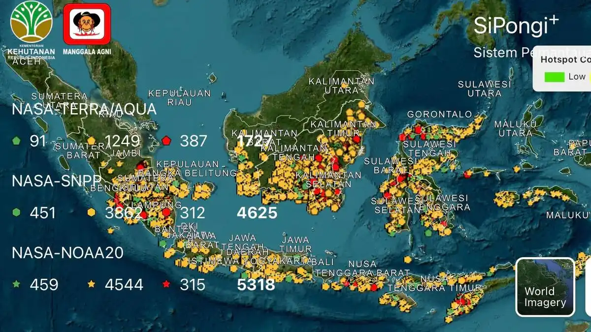 Karhutla Berulang di Indonesia, Dua Provinsi Masih Hadapi Dampak Terbesar