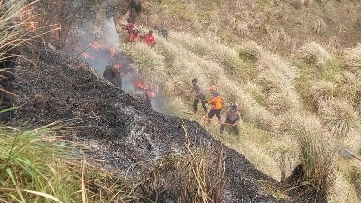 Kebakaran di Kawasan Bromo Menewaskan Tiga Orang Saat Upaya Pemadaman