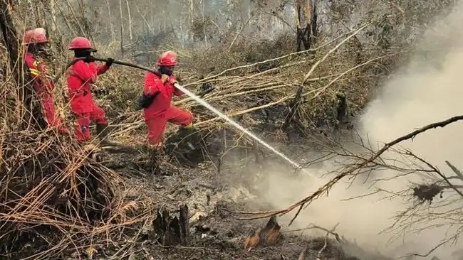 Asap Karhutla Menghambat Hujan, BMKG Buka Lapisan Inversi dengan Dry Ice