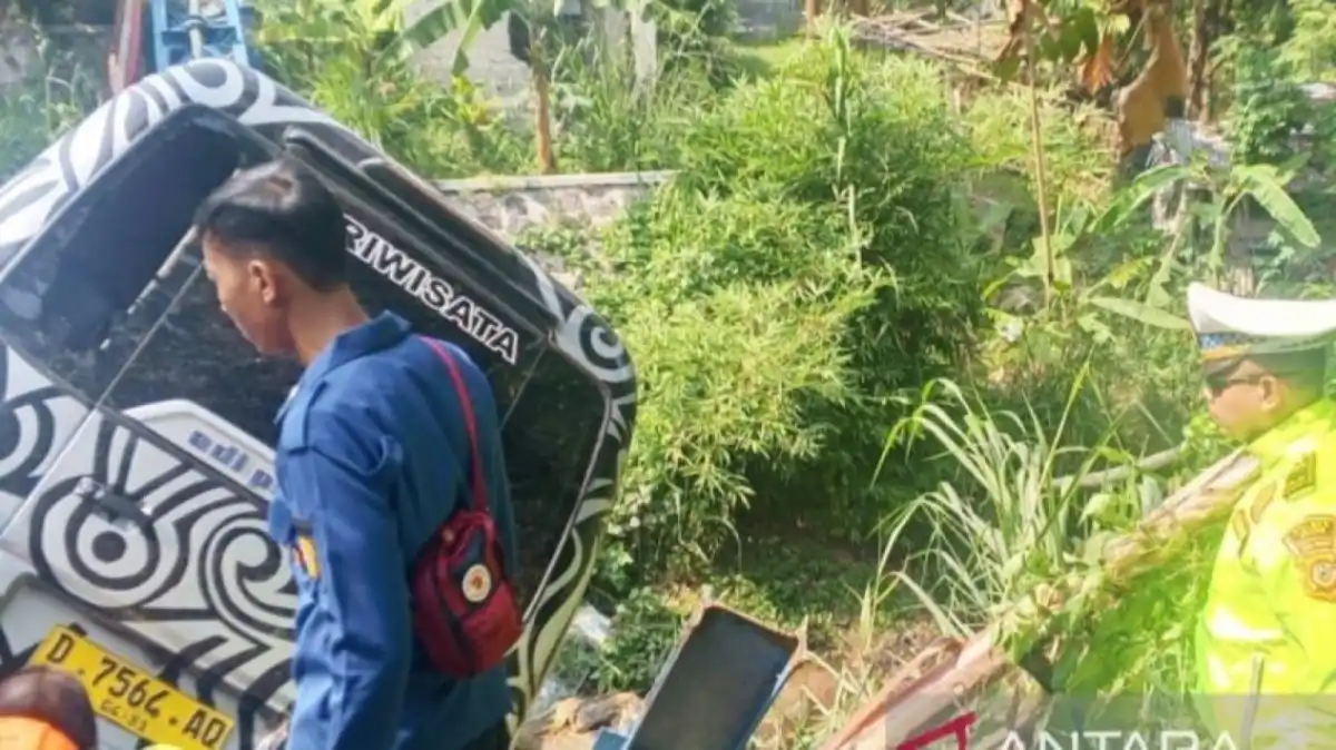 Kecelakaan Elf di Ciawi: Kronologi Tabrakan hingga Sopir Meninggal