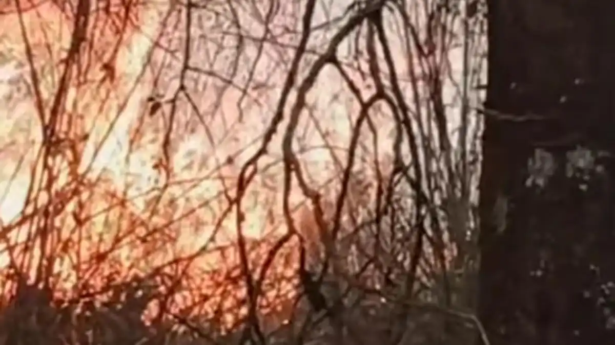 Kebakaran Hutan di Lereng Lawu Meluas, Pemadaman Terkendala Medan Terjal